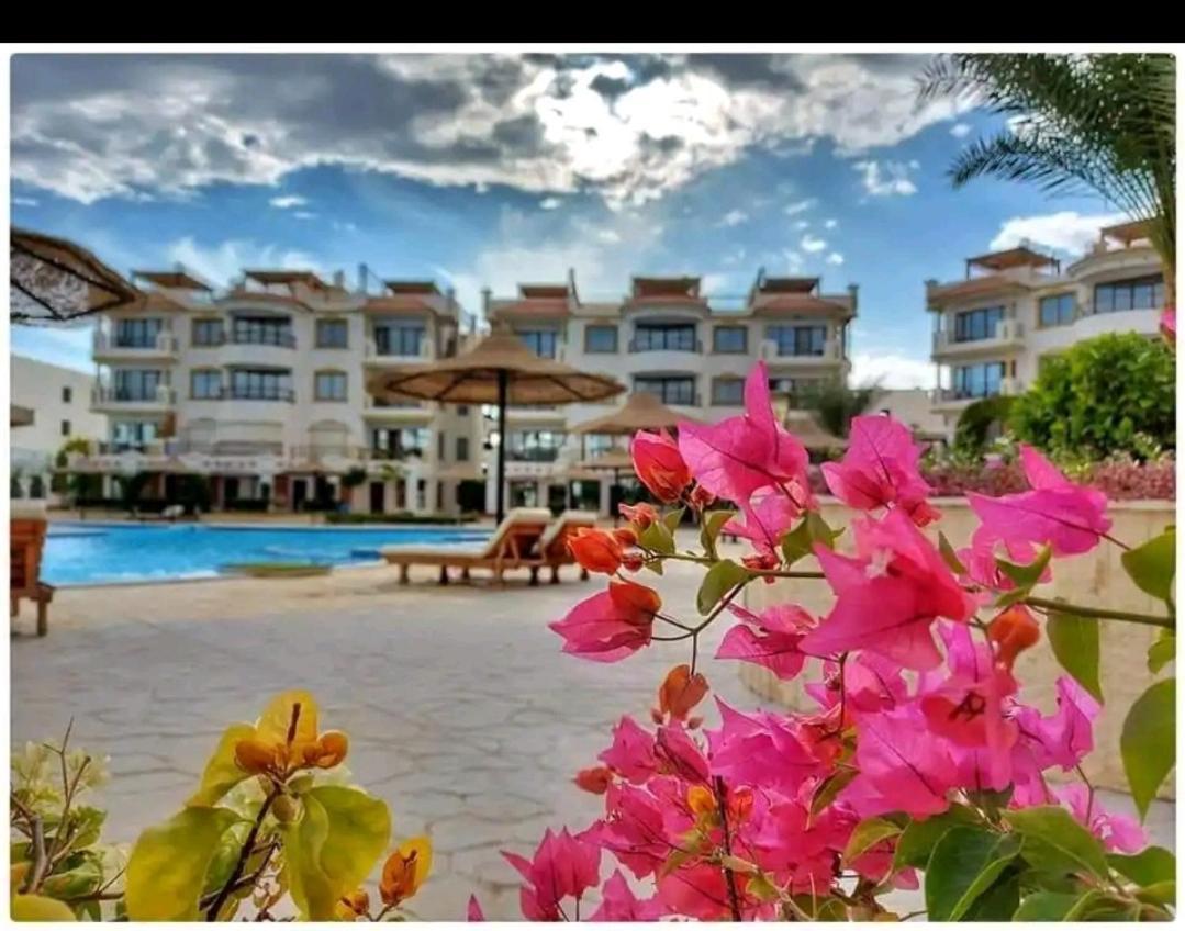 Apartament Hills